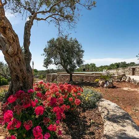 Aurora Villa Torre Vado