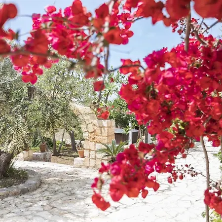 Aurora Villa Torre Vado